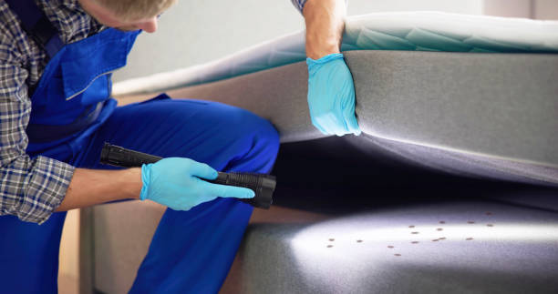 Best Pest Control Near Me in Mountville, PA