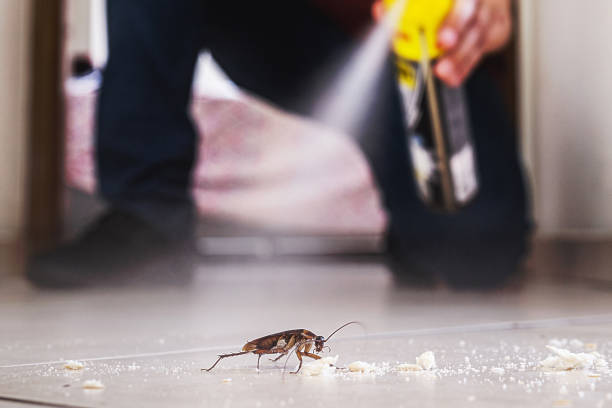 Best Best Pest Control Companies  in Mountville, PA